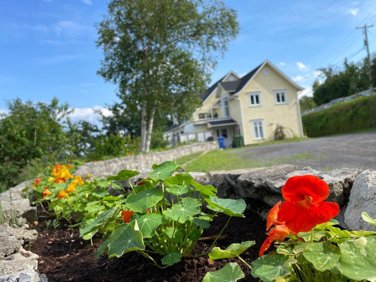 La Maison Jaune Villa La Malbaie Eksteriør billede